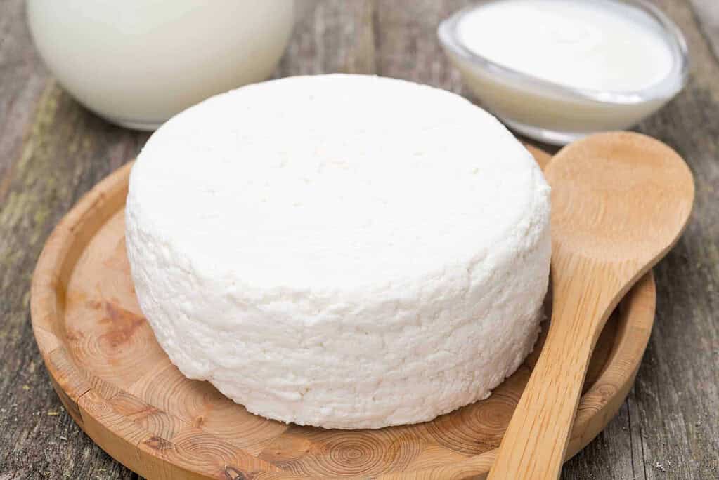 fresh homemade cottage cheese
