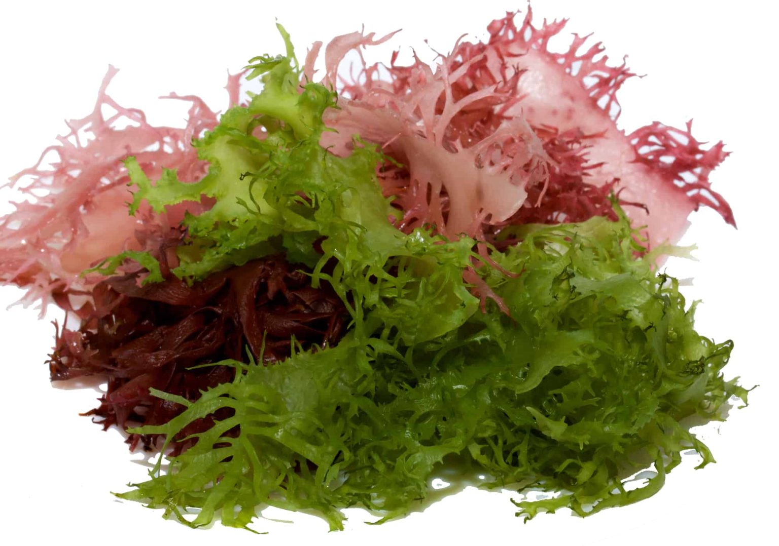 Does Seaweed Make You Gassy or Fart More? Cuisine Seeker