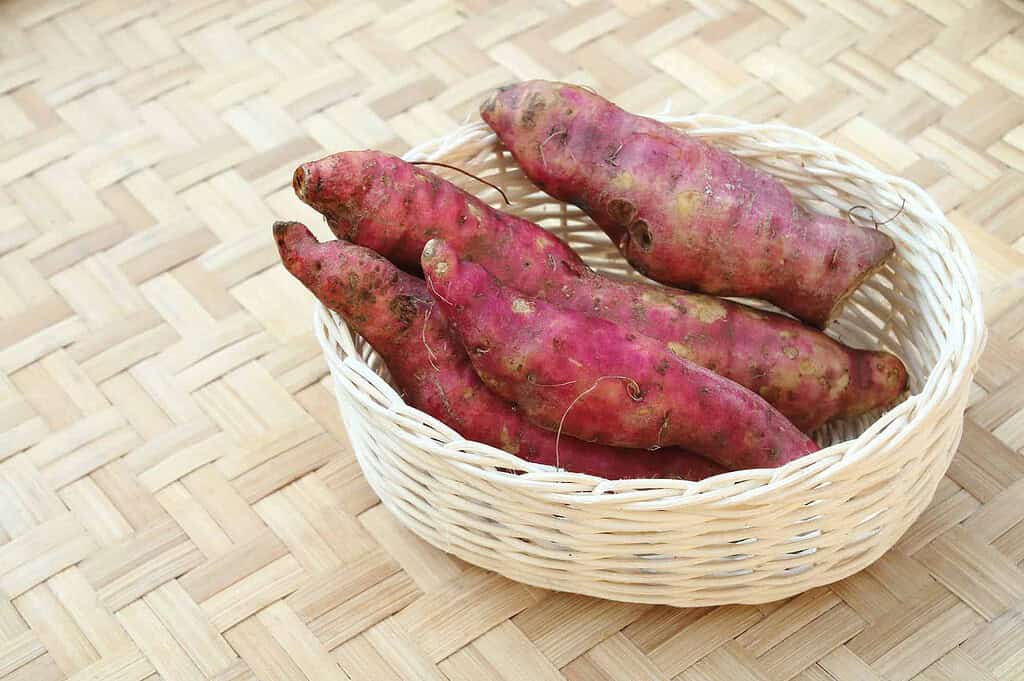 four sweet potatoes in the basket