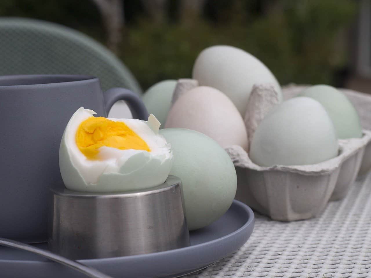 Do Boiled Eggs Cause Gas? Hard Boiled + More Cuisine Seeker