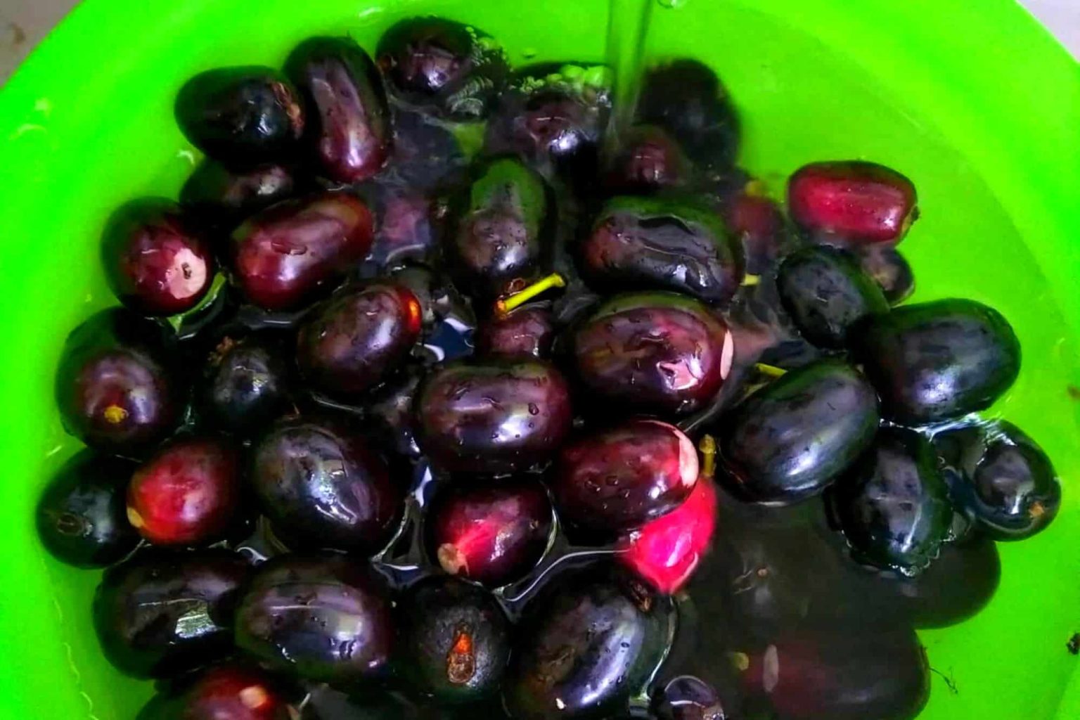 Can You Buy Java Plums in the USA? Where? Cuisine Seeker