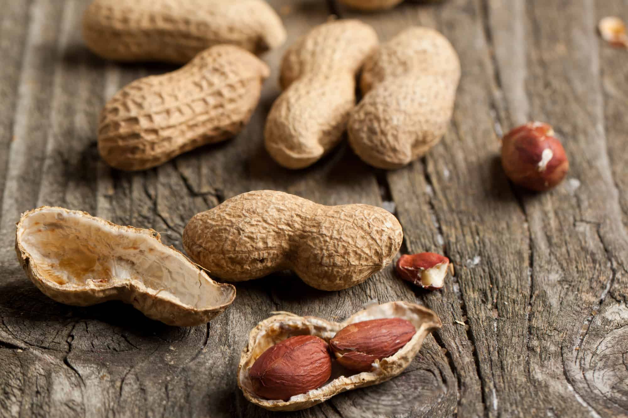 Can Peanuts Give You Gas or Bloating? Here's Why Cuisine Seeker