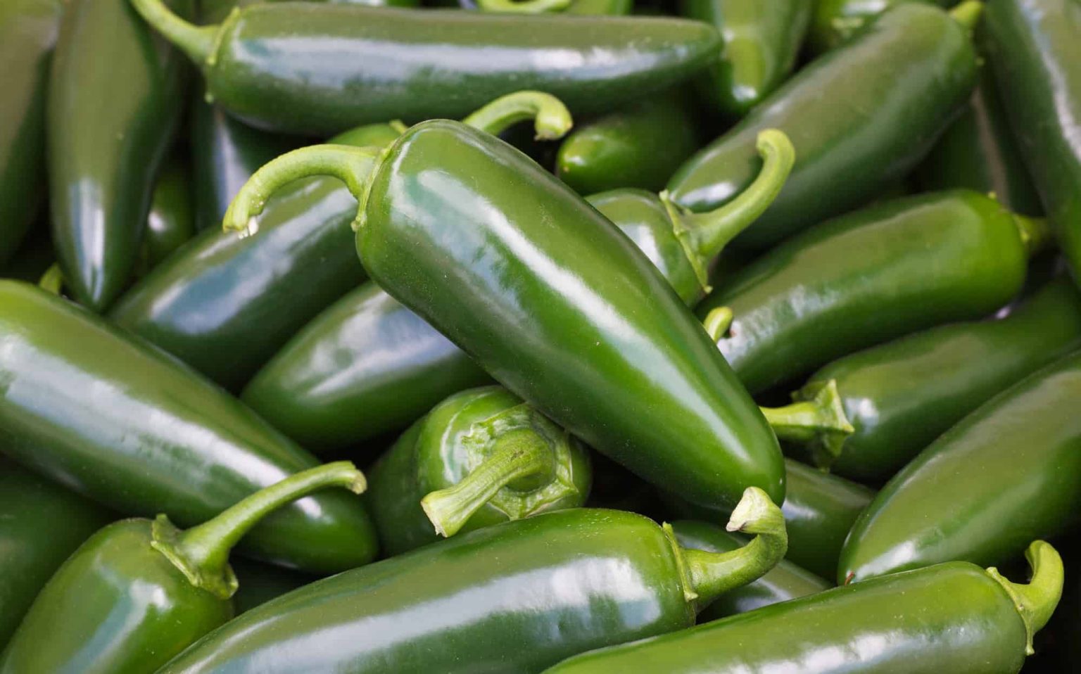 How Many Jalapenos in Pounds, Ounces and More Cuisine Seeker