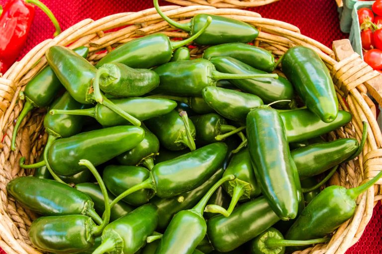 How Many Jalapenos in Pounds, Ounces and More Cuisine Seeker