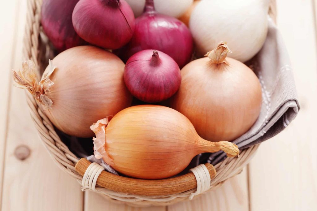 What’s the Best Type of Onion for Pico de Gallo? Cuisine Seeker