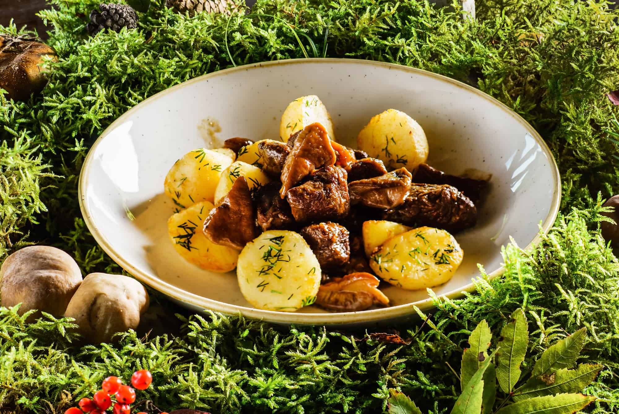 Is Elk the Same as Venison? [Taste, Nutrition + More] Cuisine Seeker